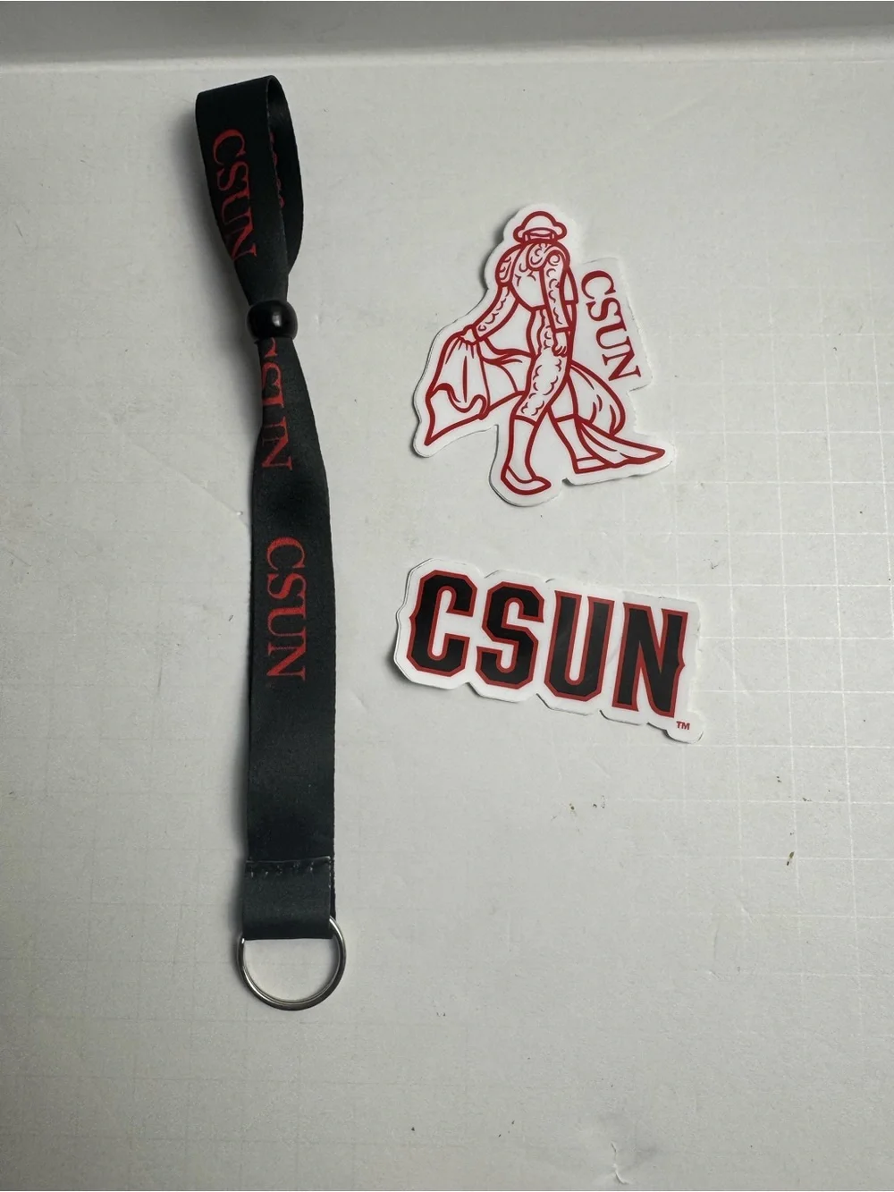 CSUN Swag lanyard, Water bottle, Pins, Stickers Cal Northridge